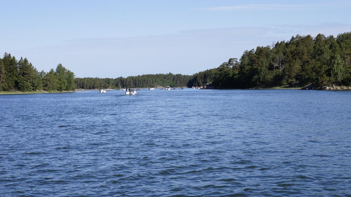 suomiveneilee.fi-blogi Ennustajien huijaama