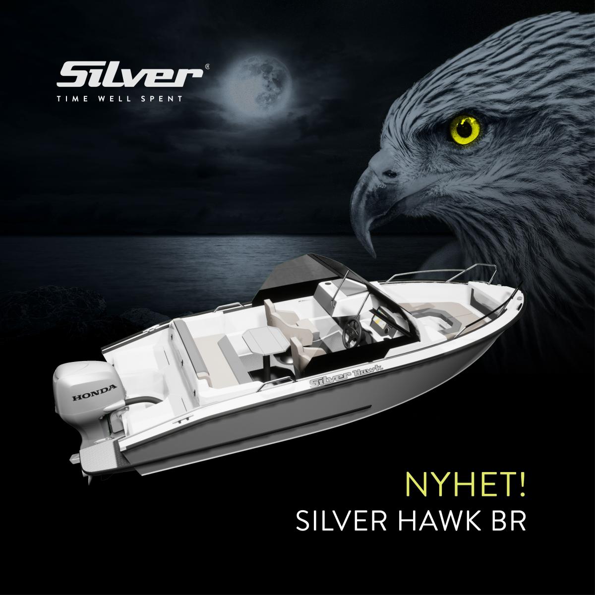Silver on mukana Allt för sjön -näyttelyssä 2019